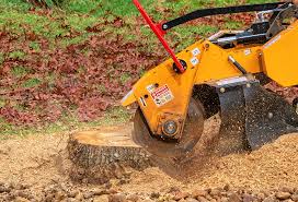 Best Pest Control for Lawns  in Bourbonnais, IL
