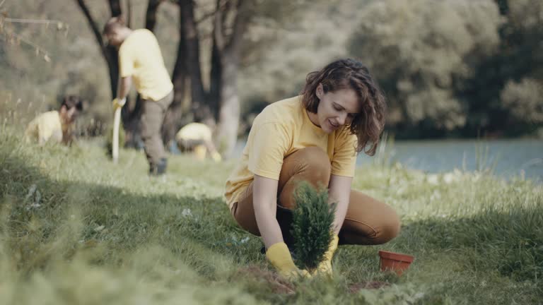 Best Tree and Shrub Care  in Bourbonnais, IL