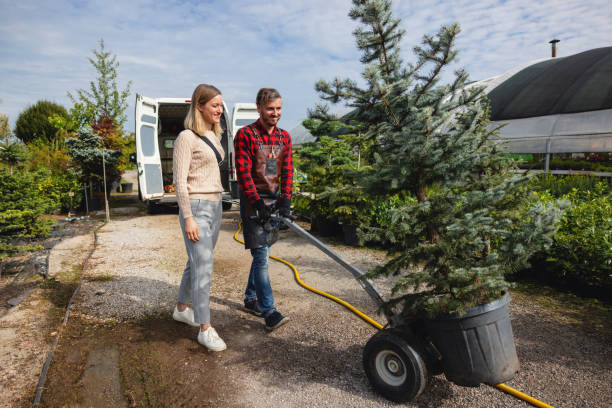 Best Lawn Fertilization  in Bourbonnais, IL